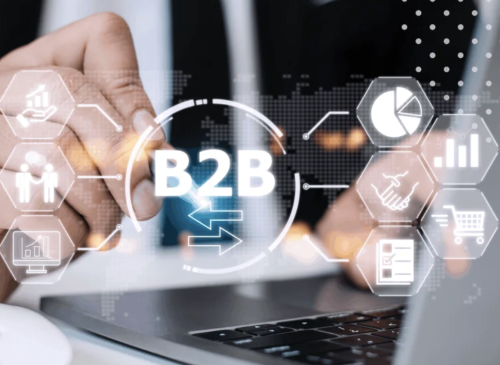 B2B & Bayi Yönetim Sistemleri